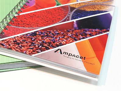 Portfolio Image