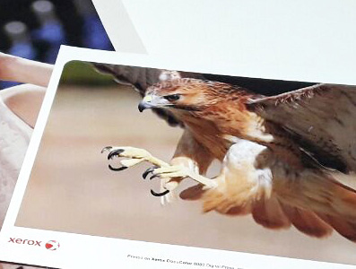 Portfolio Image